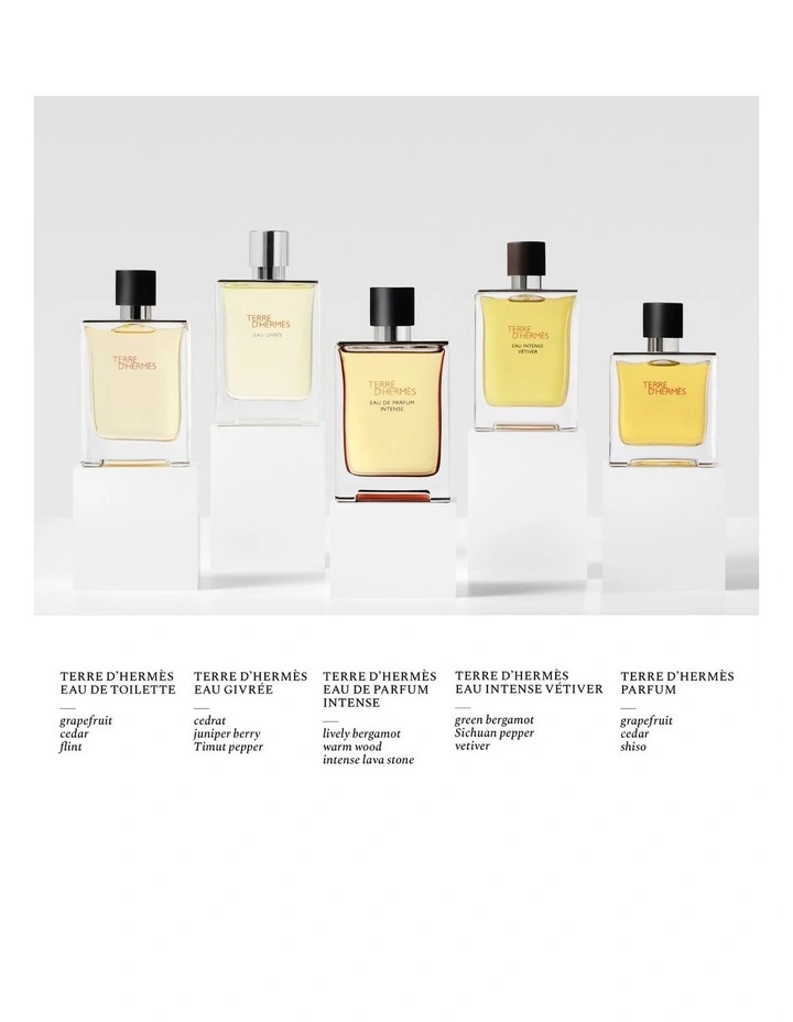 HERMES TERRE D'HERMES EAU DE TOILETTE 100ML HERMES TERRE D'HERMES EAU DE TOILETTE 100ML